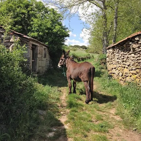 Casa Do Barrosinho Penedones