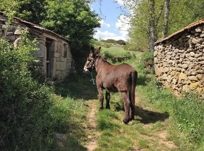 Casa Do Barrosinho Penedones